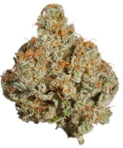 Cannabis Strains