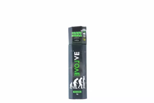 Evolve – Disposable Vape Pen (2 grams)