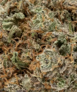 Blueberry Pie (AAA+)